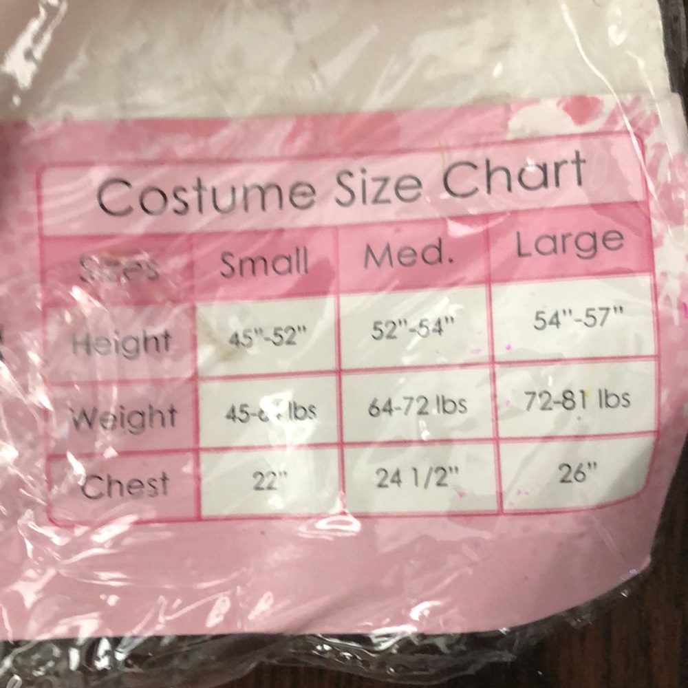 Costume - Picture 3 of 3